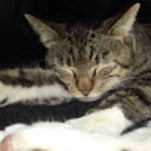 Meet your Posher, Debby